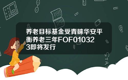 养老目标基金受青睐华安平衡养老三年FOF010323即将发行