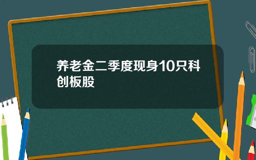 养老金二季度现身10只科创板股