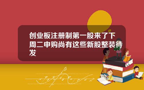 创业板注册制第一股来了下周二申购尚有这些新股整装待发