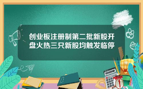 创业板注册制第二批新股开盘火热三只新股均触发临停