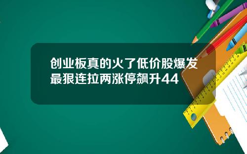 创业板真的火了低价股爆发最狠连拉两涨停飙升44