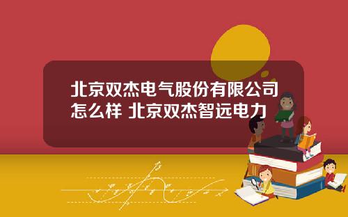 北京双杰电气股份有限公司怎么样 北京双杰智远电力