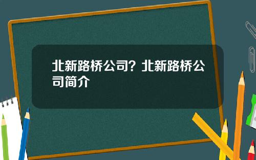 北新路桥公司？北新路桥公司简介