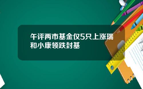 午评两市基金仅5只上涨瑞和小康领跌封基