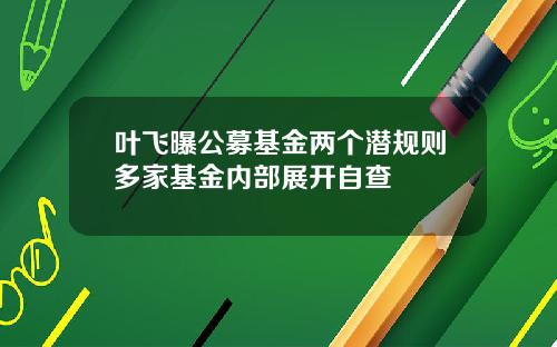 叶飞曝公募基金两个潜规则多家基金内部展开自查