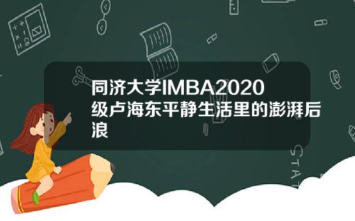 同济大学IMBA2020级卢海东平静生活里的澎湃后浪
