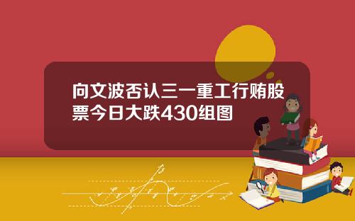 向文波否认三一重工行贿股票今日大跌430组图