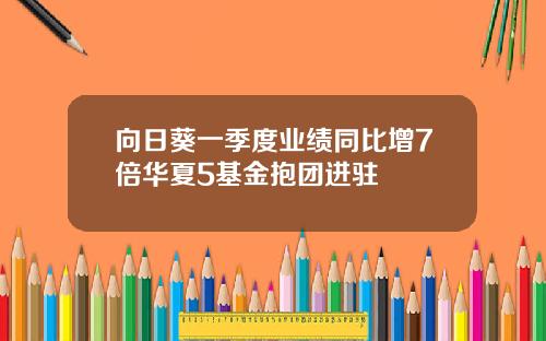 向日葵一季度业绩同比增7倍华夏5基金抱团进驻