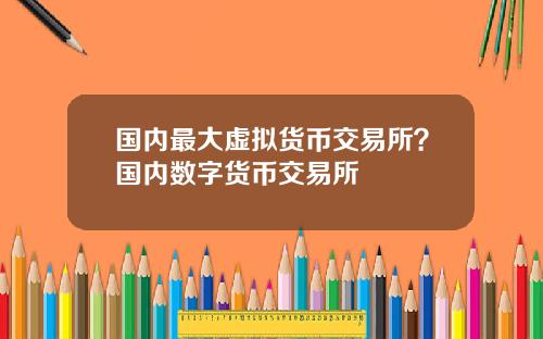 国内最大虚拟货币交易所？国内数字货币交易所