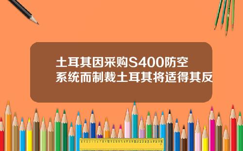 土耳其因采购S400防空系统而制裁土耳其将适得其反