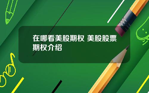 在哪看美股期权 美股股票期权介绍