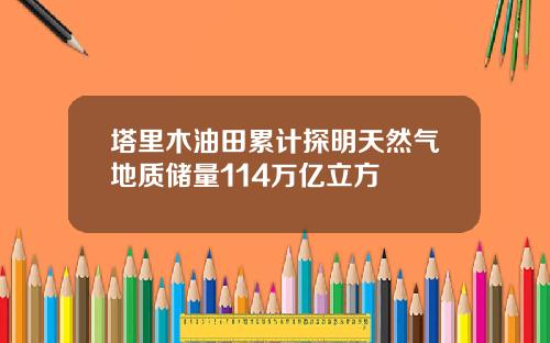 塔里木油田累计探明天然气地质储量114万亿立方