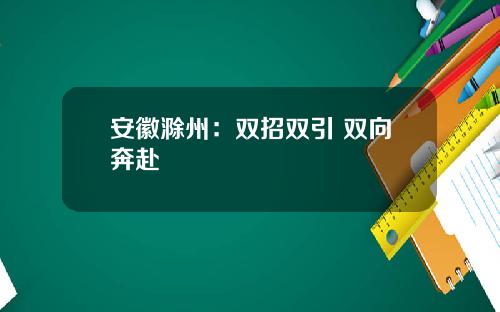 安徽滁州：双招双引 双向奔赴