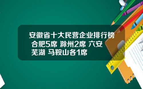 安徽省十大民营企业排行榜 合肥5席 滁州2席 六安 芜湖 马鞍山各1席