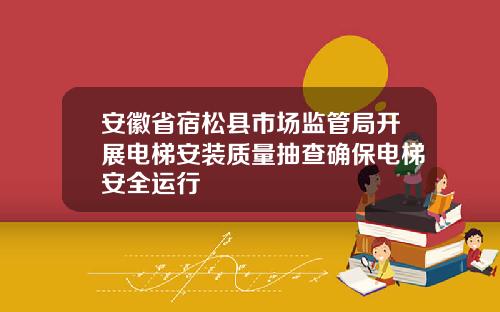 安徽省宿松县市场监管局开展电梯安装质量抽查确保电梯安全运行