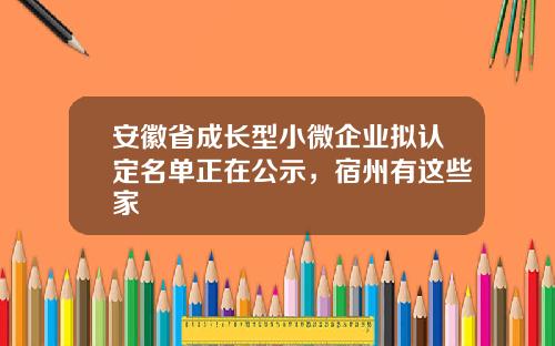安徽省成长型小微企业拟认定名单正在公示，宿州有这些家