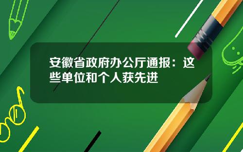 安徽省政府办公厅通报：这些单位和个人获先进