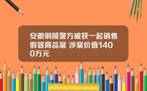 安徽铜陵警方破获一起销售假冒商品案 涉案价值1400万元
