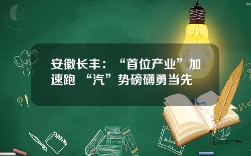 安徽长丰：“首位产业”加速跑 “汽”势磅礴勇当先