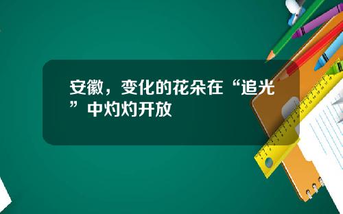 安徽，变化的花朵在“追光”中灼灼开放
