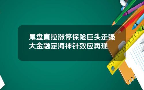 尾盘直拉涨停保险巨头走强大金融定海神针效应再现