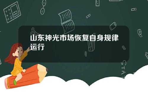 山东神光市场恢复自身规律运行