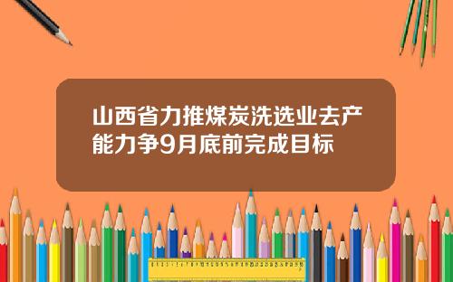 山西省力推煤炭洗选业去产能力争9月底前完成目标