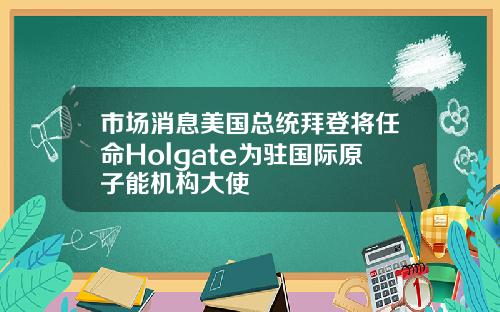 市场消息美国总统拜登将任命Holgate为驻国际原子能机构大使