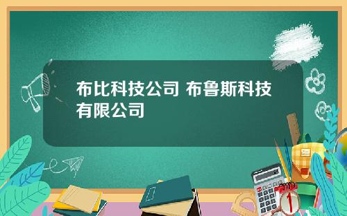 布比科技公司 布鲁斯科技有限公司