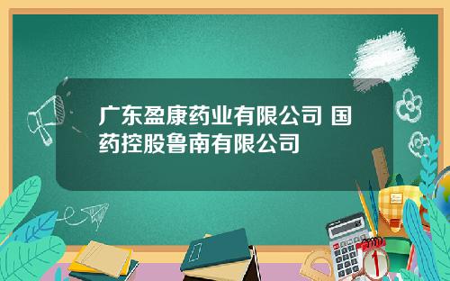 广东盈康药业有限公司 国药控股鲁南有限公司