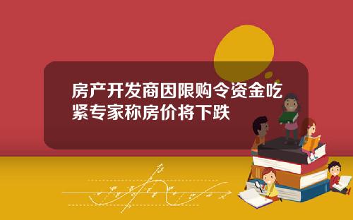 房产开发商因限购令资金吃紧专家称房价将下跌
