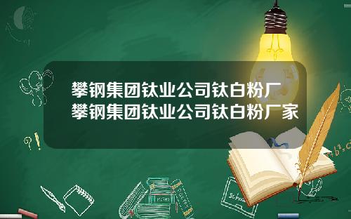 攀钢集团钛业公司钛白粉厂攀钢集团钛业公司钛白粉厂家