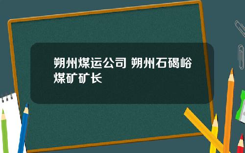 朔州煤运公司 朔州石碣峪煤矿矿长
