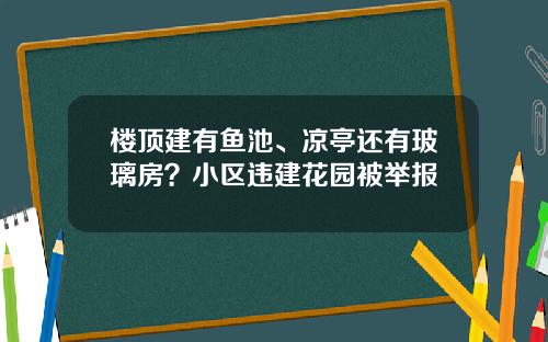 楼顶建有鱼池、凉亭还有玻璃房？小区违建花园被举报