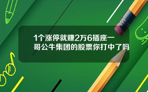 1个涨停就赚2万6插座一哥公牛集团的股票你打中了吗