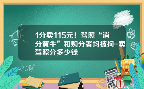 1分卖115元！驾照“消分黄牛”和购分者均被拘-卖驾照分多少钱