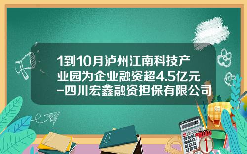 1到10月泸州江南科技产业园为企业融资超4.5亿元-四川宏鑫融资担保有限公司