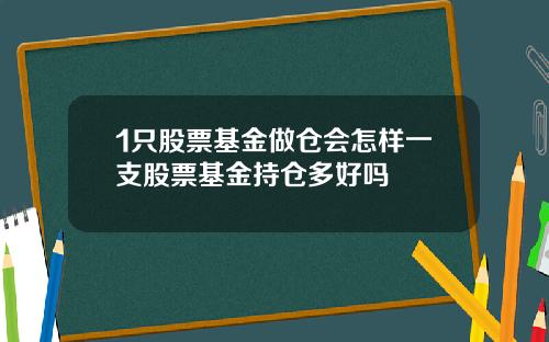 1只股票基金做仓会怎样一支股票基金持仓多好吗