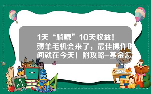 1天“躺赚”10天收益！薅羊毛机会来了，最佳操作时间就在今天！附攻略-基金怎么取出
