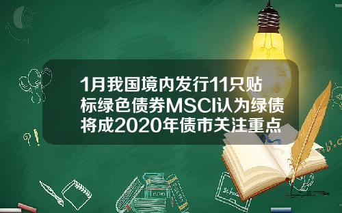 1月我国境内发行11只贴标绿色债券MSCI认为绿债将成2020年债市关注重点
