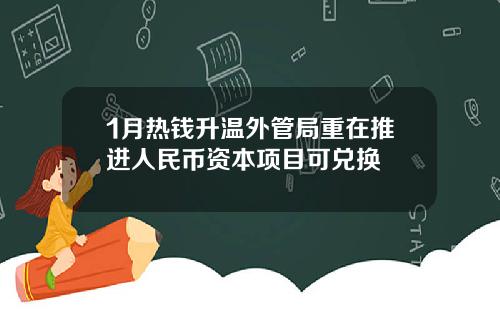 1月热钱升温外管局重在推进人民币资本项目可兑换