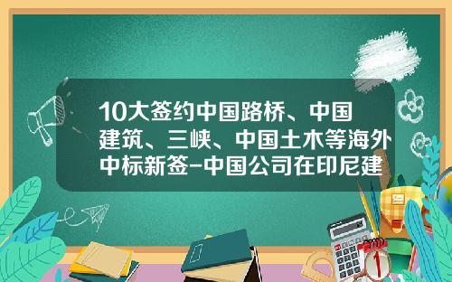 10大签约中国路桥、中国建筑、三峡、中国土木等海外中标新签-中国公司在印尼建矿厂工地有几个