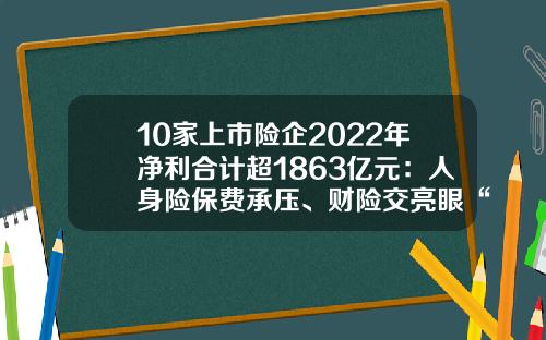 10家上市险企2022年净利合计超1863亿元：人身险保费承压、财险交亮眼“成绩单”-保险公司净利润