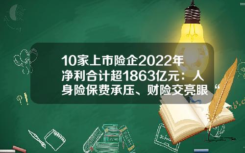 10家上市险企2022年净利合计超1863亿元：人身险保费承压、财险交亮眼“成绩单”-a股上市的保险公司