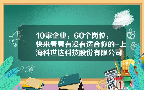 10家企业，60个岗位，快来看看有没有适合你的-上海科世达科技股份有限公司