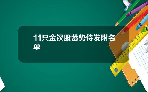 11只金钗股蓄势待发附名单