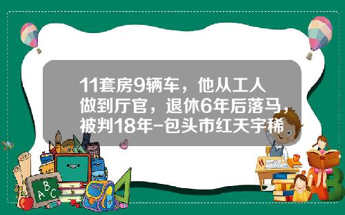 11套房9辆车，他从工人做到厅官，退休6年后落马，被判18年-包头市红天宇稀土磁材有限公司【新闻】