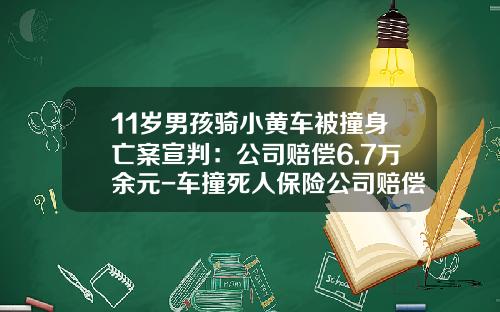11岁男孩骑小黄车被撞身亡案宣判：公司赔偿6.7万余元-车撞死人保险公司赔偿标准【新闻】