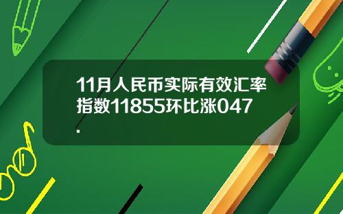 11月人民币实际有效汇率指数11855环比涨047.