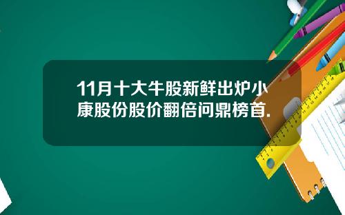 11月十大牛股新鲜出炉小康股份股价翻倍问鼎榜首.